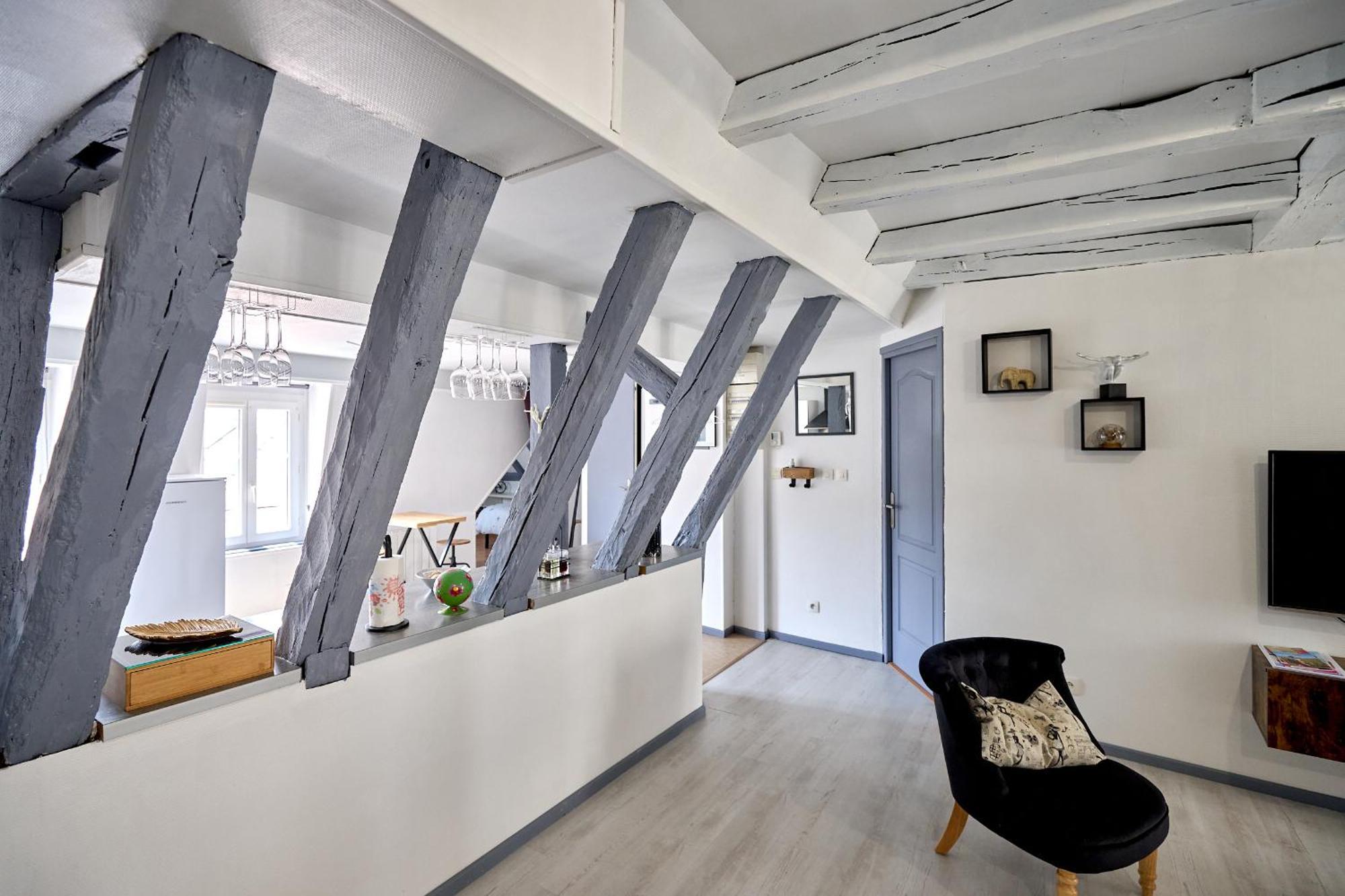 Appartement De Caractere, Charme Nevers Zewnętrze zdjęcie