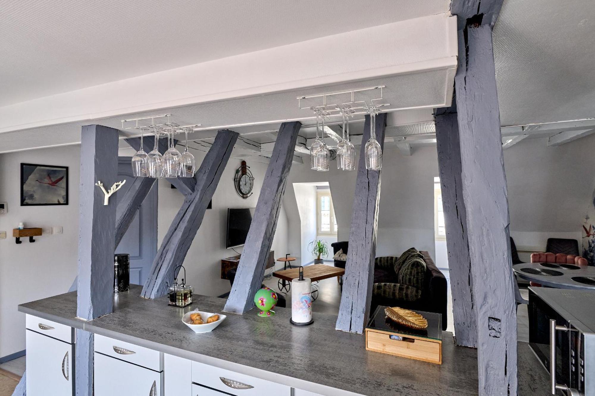 Appartement De Caractere, Charme Nevers Zewnętrze zdjęcie
